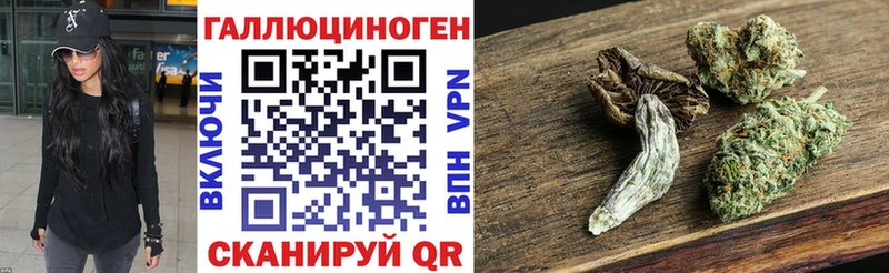 Псилоцибиновые грибы GOLDEN TEACHER  где продают наркотики  Кубинка 